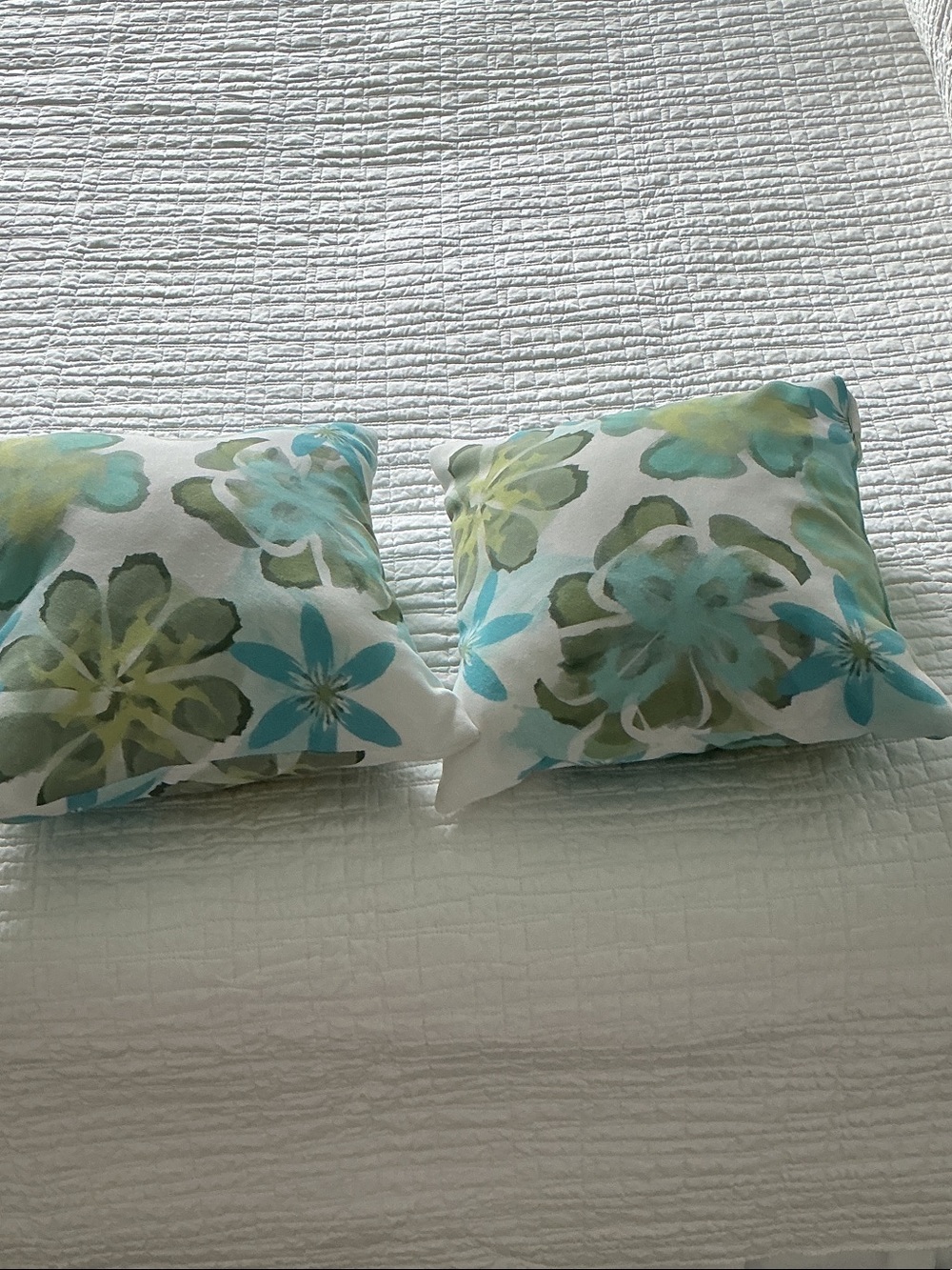 2 Decorative Throw Pillows Floral